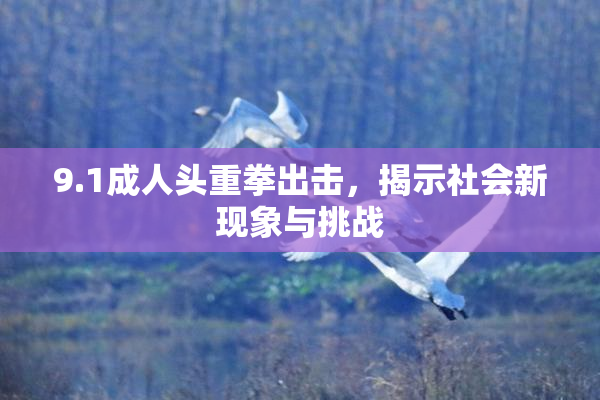 9.1成人头重拳出击，揭示社会新现象与挑战