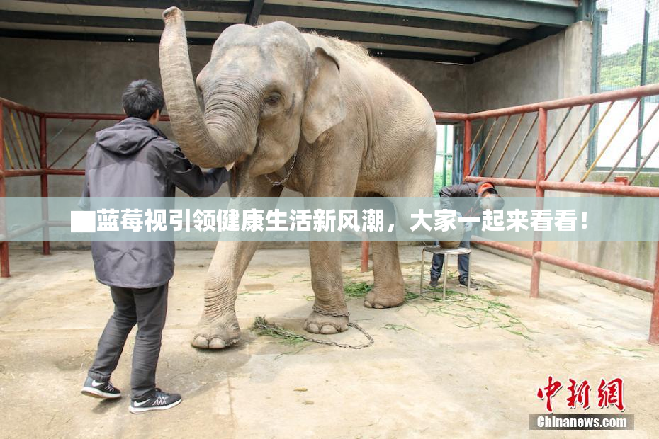 ▇蓝莓视引领健康生活新风潮，大家一起来看看！