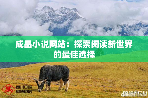 成品小说网站：探索阅读新世界的最佳选择