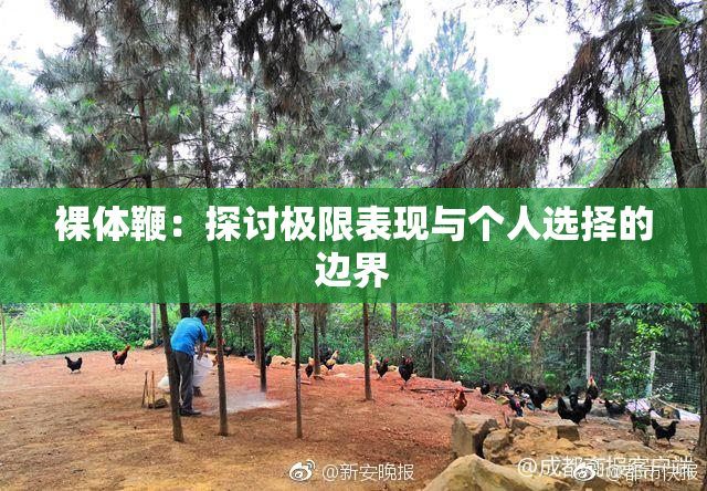 裸体鞭：探讨极限表现与个人选择的边界