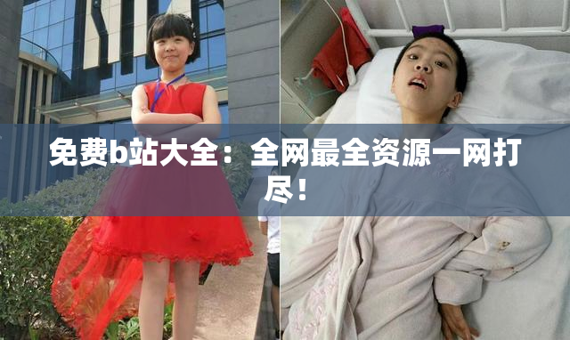 免费b站大全：全网最全资源一网打尽！