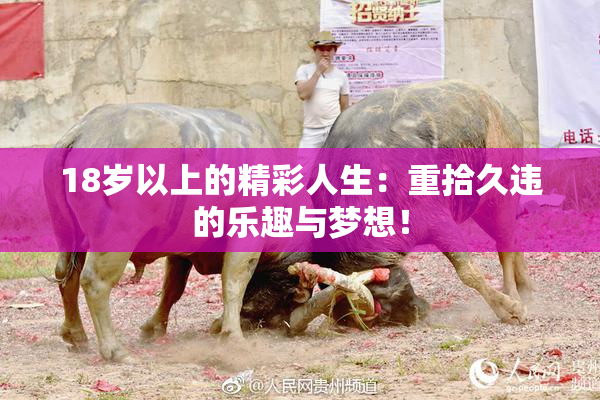 18岁以上的精彩人生：重拾久违的乐趣与梦想！