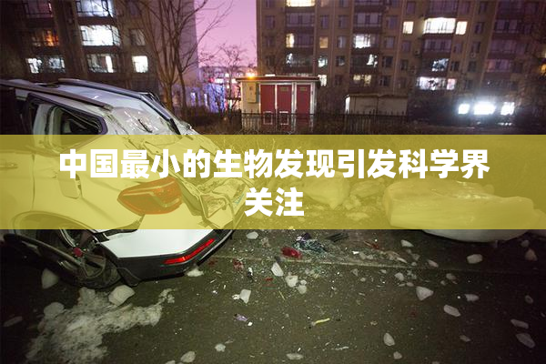 中国最小的生物发现引发科学界关注