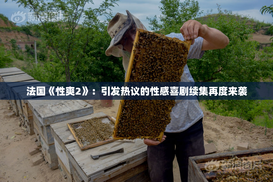 法国《性爽2》：引发热议的性感喜剧续集再度来袭