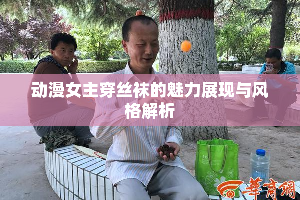 动漫女主穿丝袜的魅力展现与风格解析