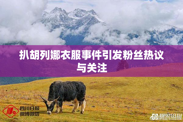 扒胡列娜衣服事件引发粉丝热议与关注