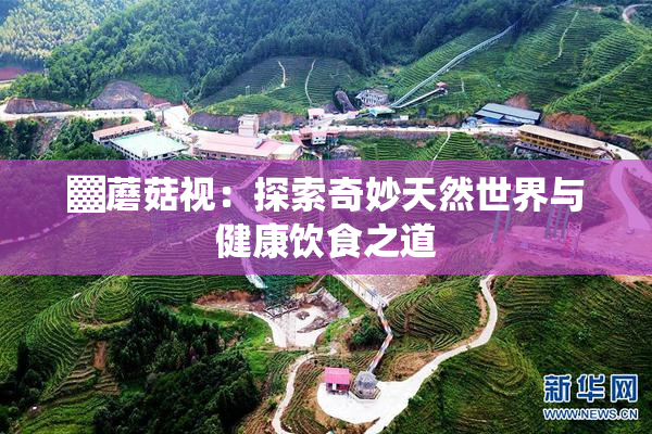 ▓蘑菇视：探索奇妙天然世界与健康饮食之道
