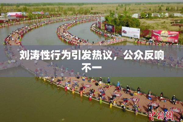 刘涛性行为引发热议，公众反响不一