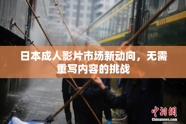 日本成人影片市场新动向，无需重写内容的挑战