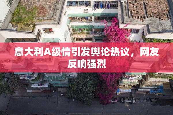 意大利A级情引发舆论热议，网友反响强烈