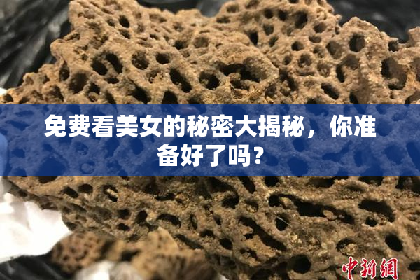免费看美女的秘密大揭秘，你准备好了吗？