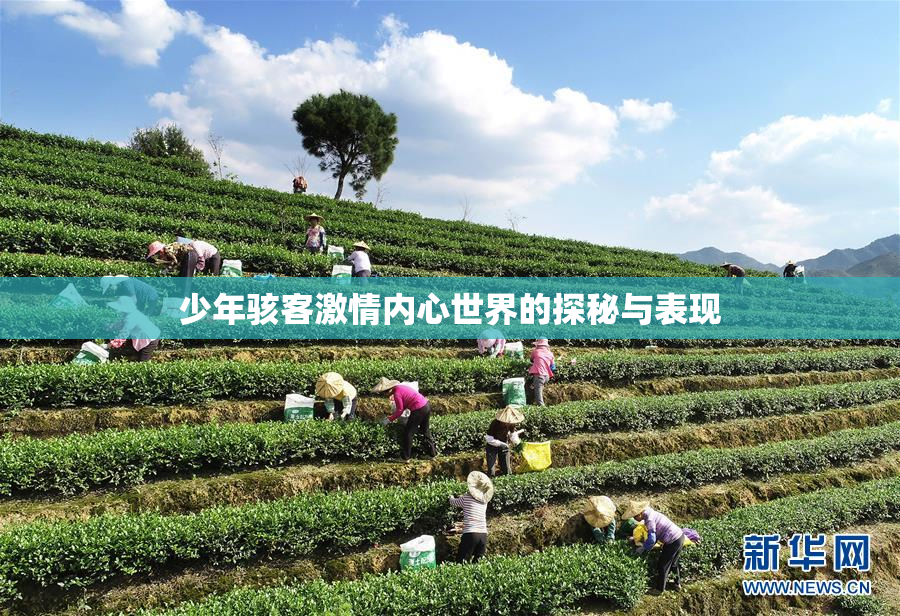 少年骇客激情内心世界的探秘与表现