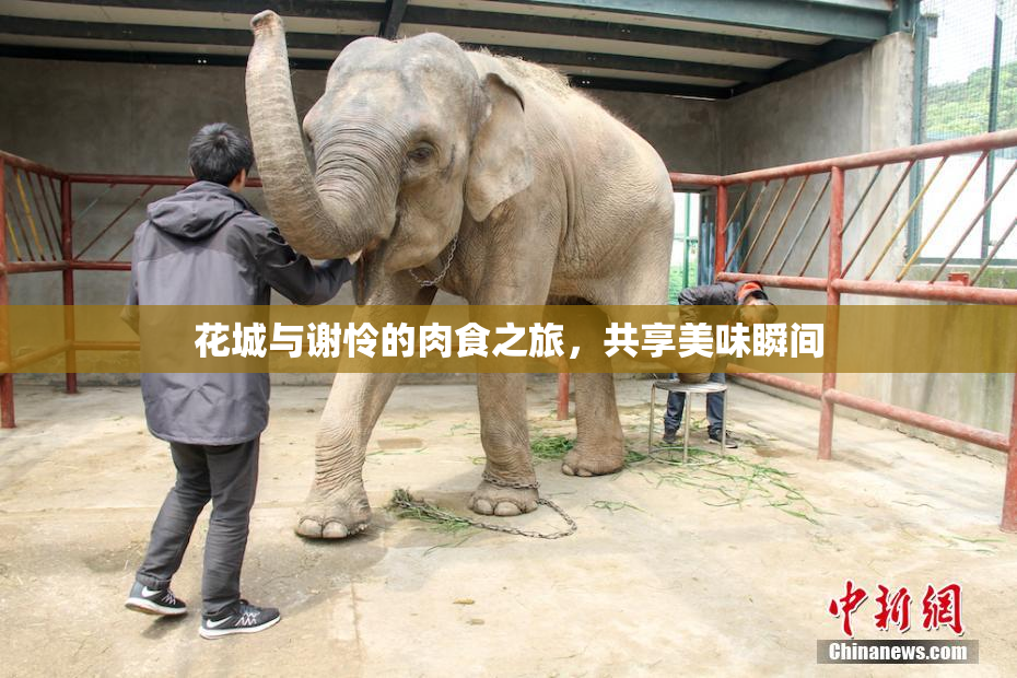 花城与谢怜的肉食之旅，共享美味瞬间