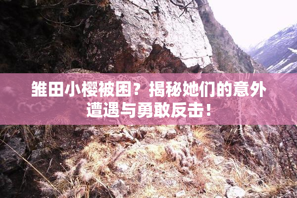 雏田小樱被困？揭秘她们的意外遭遇与勇敢反击！