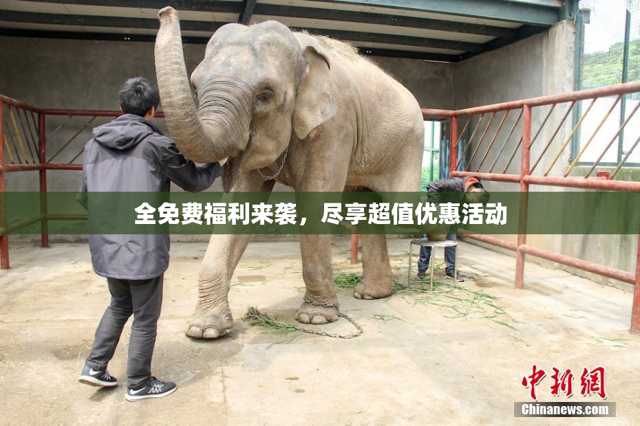 全免费福利来袭，尽享超值优惠活动