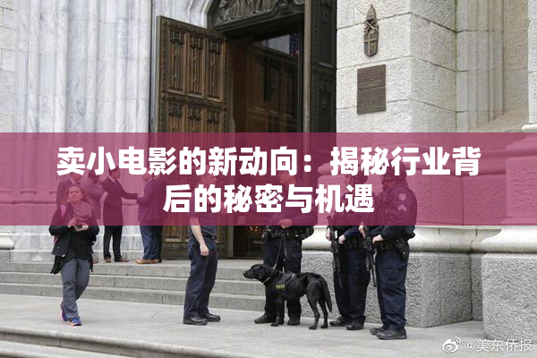 卖小电影的新动向：揭秘行业背后的秘密与机遇
