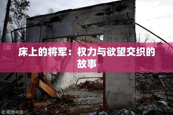 床上的将军：权力与欲望交织的故事