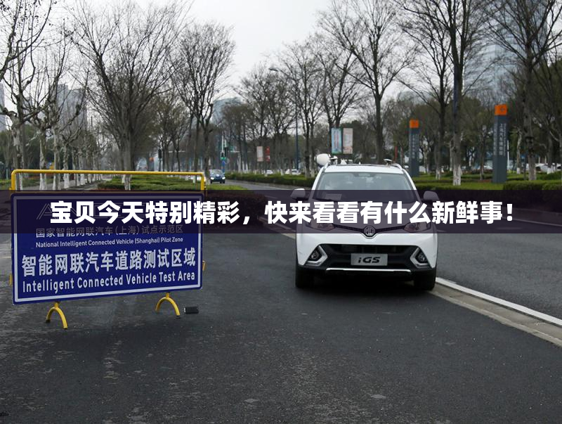 宝贝今天特别精彩，快来看看有什么新鲜事！