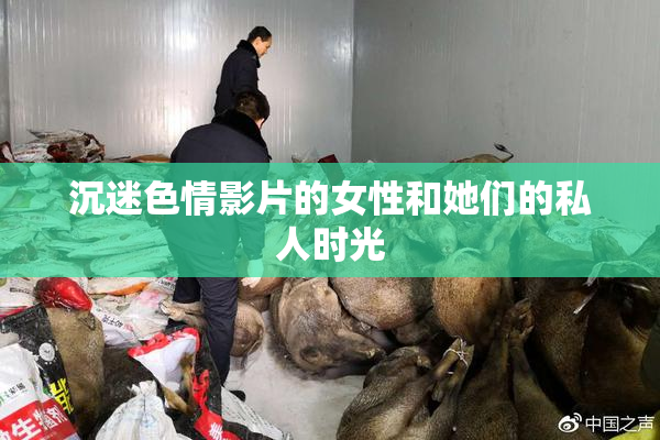 沉迷色情影片的女性和她们的私人时光