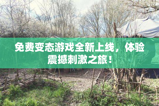 免费变态游戏全新上线，体验震撼刺激之旅！