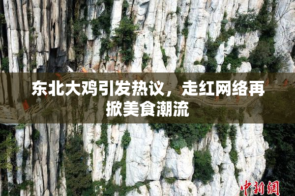东北大鸡引发热议，走红网络再掀美食潮流