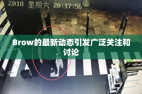 Brow的最新动态引发广泛关注和讨论