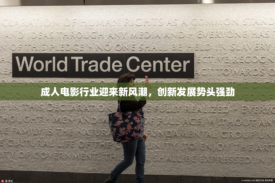 成人电影行业迎来新风潮，创新发展势头强劲