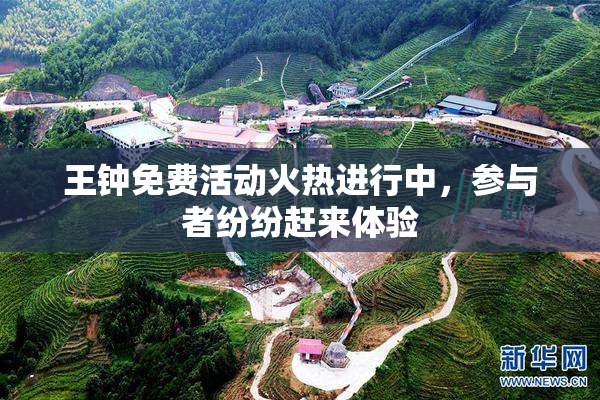 王钟免费活动火热进行中，参与者纷纷赶来体验