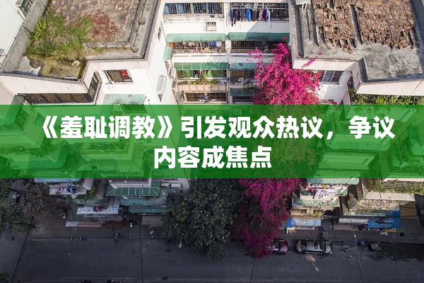 《羞耻调教》引发观众热议，争议内容成焦点
