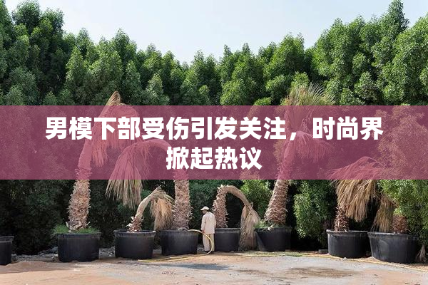 男模下部受伤引发关注，时尚界掀起热议