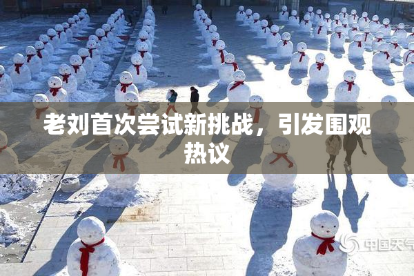 老刘首次尝试新挑战，引发围观热议