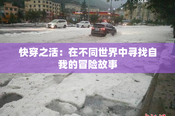 快穿之活：在不同世界中寻找自我的冒险故事