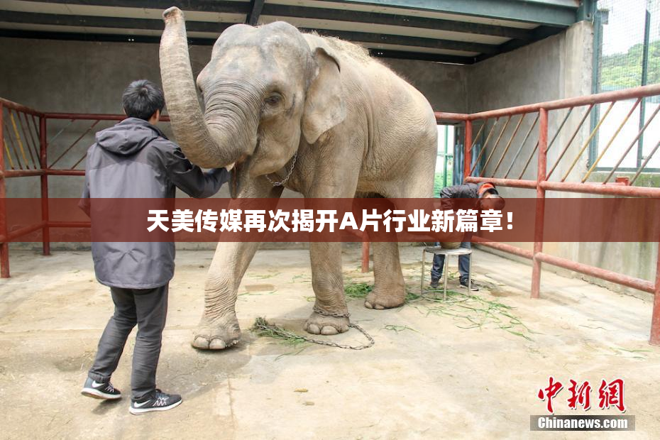 天美传媒再次揭开A片行业新篇章！