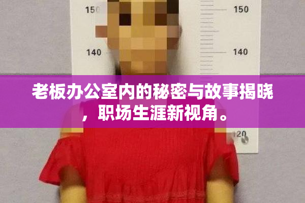 老板办公室内的秘密与故事揭晓，职场生涯新视角。