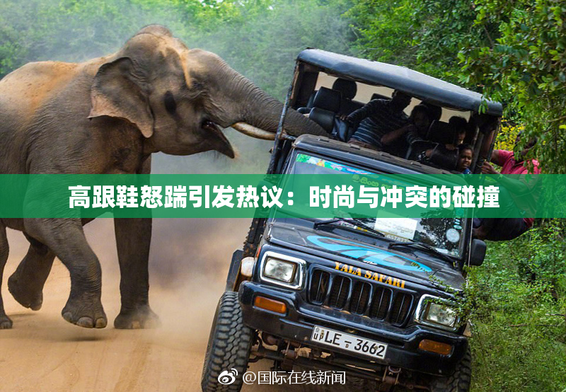 高跟鞋怒踹引发热议：时尚与冲突的碰撞
