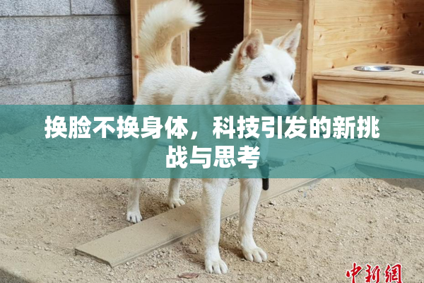 换脸不换身体，科技引发的新挑战与思考