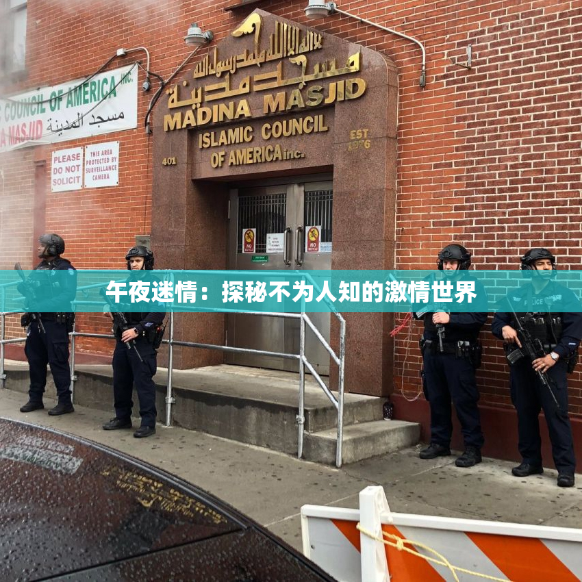 午夜迷情：探秘不为人知的激情世界
