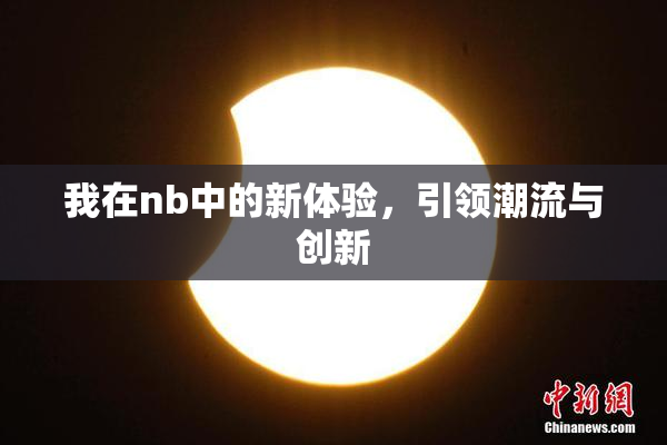 我在nb中的新体验，引领潮流与创新