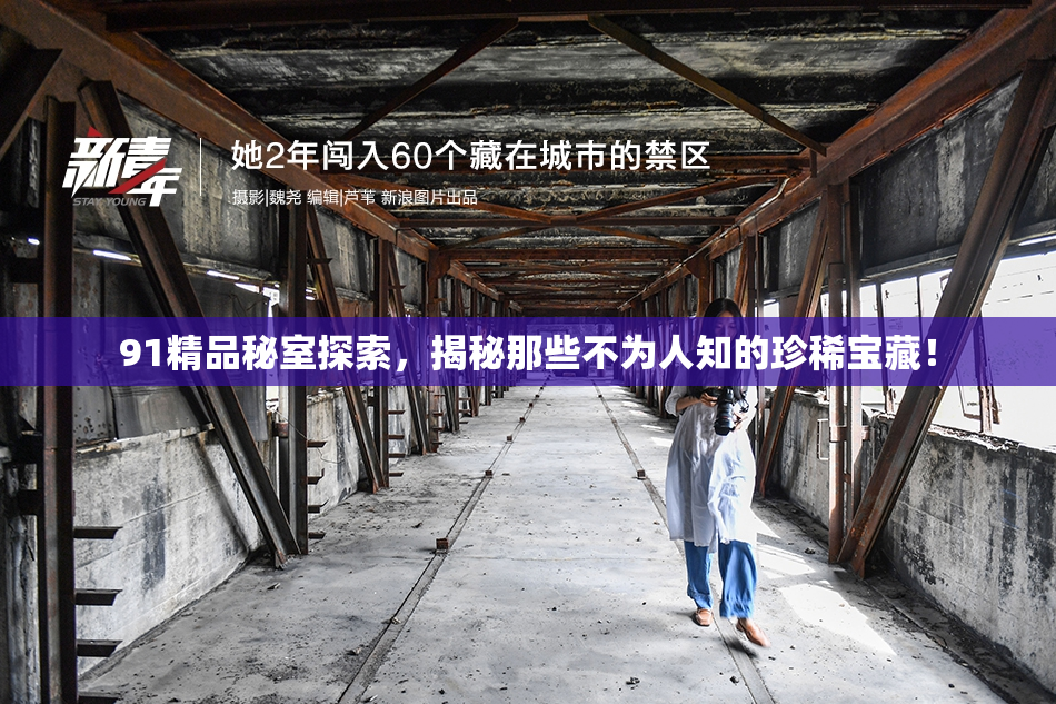 91精品秘室探索，揭秘那些不为人知的珍稀宝藏！