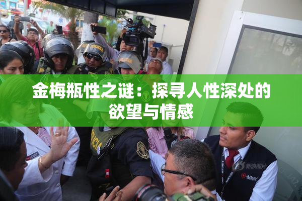 金梅瓶性之谜：探寻人性深处的欲望与情感