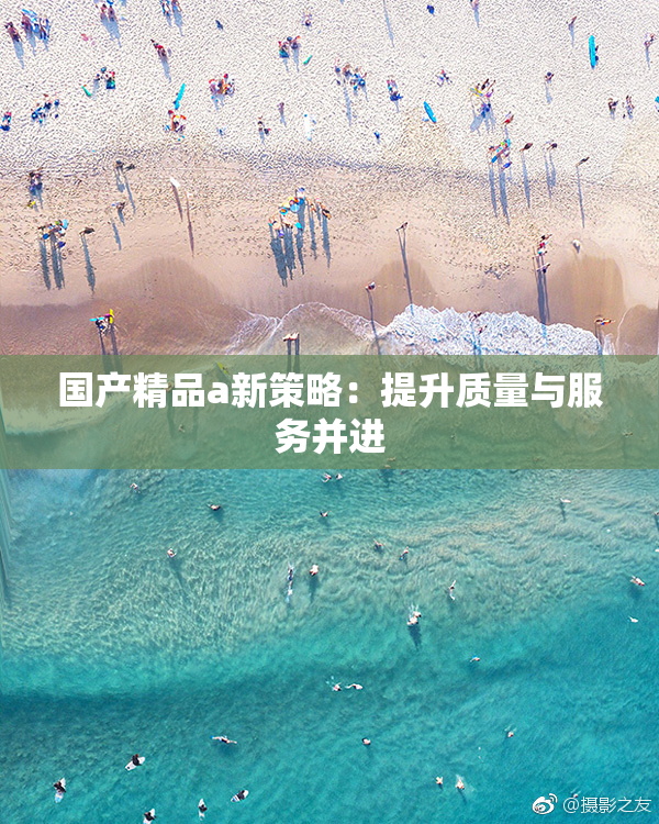 国产精品a新策略：提升质量与服务并进