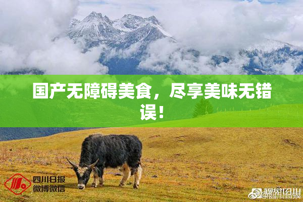 国产无障碍美食，尽享美味无错误！
