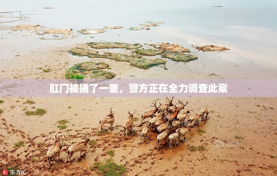 肛门被捅了一重，警方正在全力调查此案