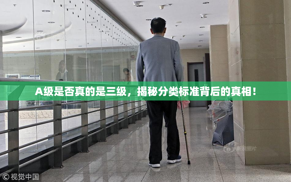 A级是否真的是三级，揭秘分类标准背后的真相！