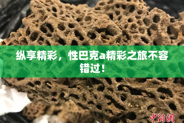 纵享精彩，性巴克a精彩之旅不容错过！