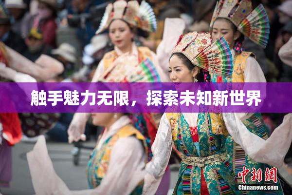 触手魅力无限，探索未知新世界