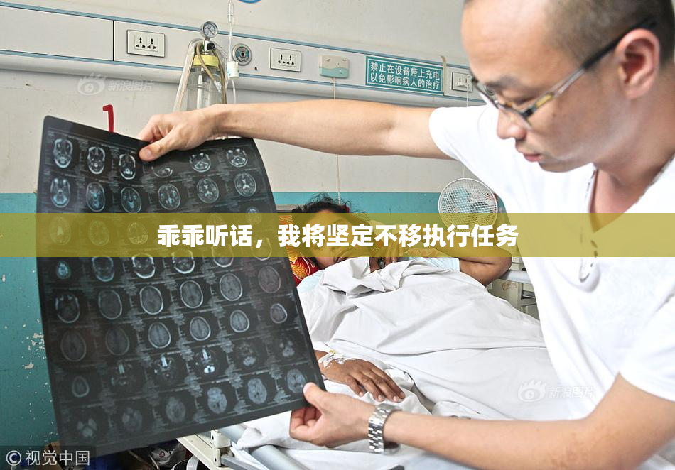 乖乖听话，我将坚定不移执行任务