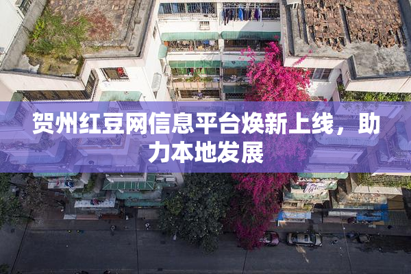 贺州红豆网信息平台焕新上线，助力本地发展