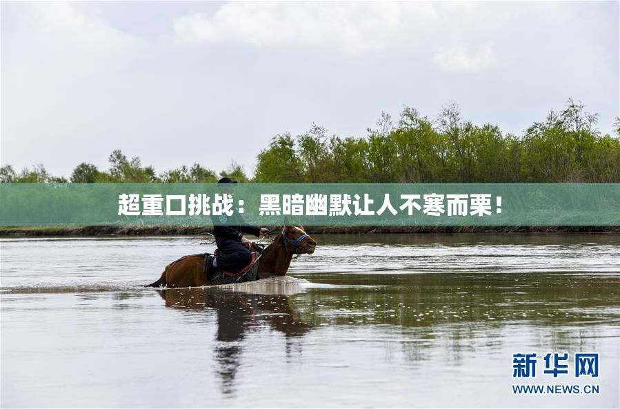 超重口挑战：黑暗幽默让人不寒而栗！