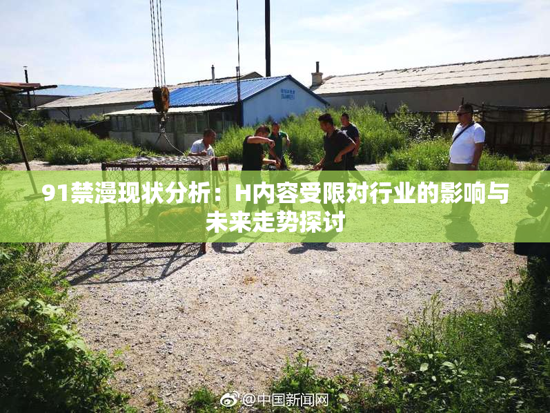 91禁漫现状分析：H内容受限对行业的影响与未来走势探讨